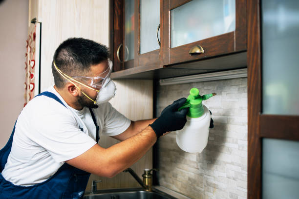 Best Residential Pest Control  in Farmer City, IL
