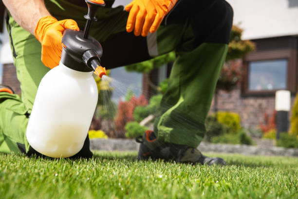 Reliable Farmer City, IL Pest Control Solutions