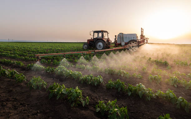 Best Affordable Pest Control Services  in Farmer City, IL