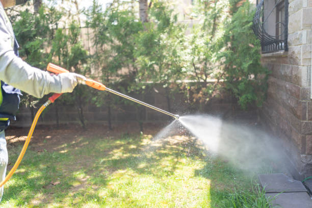Best Mosquito Control Services  in Farmer City, IL