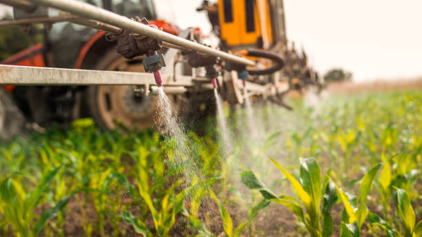 Best Local Pest Control Services  in Farmer City, IL